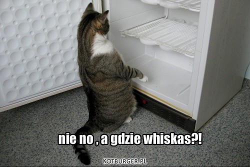 ;o.. – nie no , a gdzie whiskas?! 
