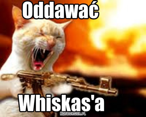 Whiskas – Oddawać Whiskas'a 