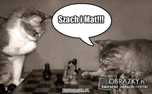 Partyjka szachów – Szach i Mat!!! 