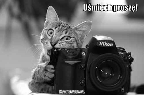 Kotek fotograf – Uśmiech proszę! 