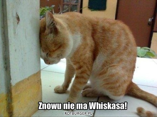 Znowu nie ma Whiskasa! – Znowu nie ma Whiskasa! 