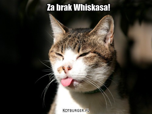 Za brak Whiskasa! – Za brak Whiskasa! 