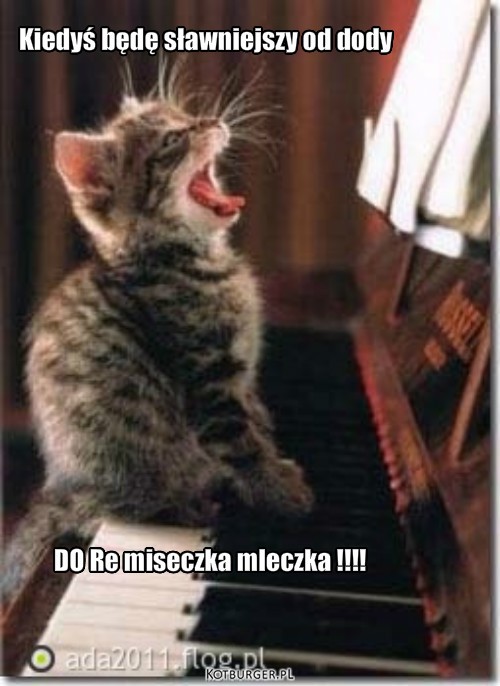 śpiewający kotek – Kiedyś będę sławniejszy od dody DO Re miseczka mleczka !!!! 
