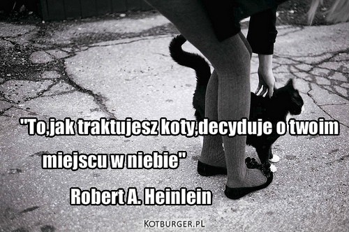 :) – To, jak traktujesz koty, decyduje o twoim miejscu w Niebie.
Robert A. Heinlein Robert A. Heinlein "To,jak traktujesz koty,decyduje o twoim miejscu w niebie" 