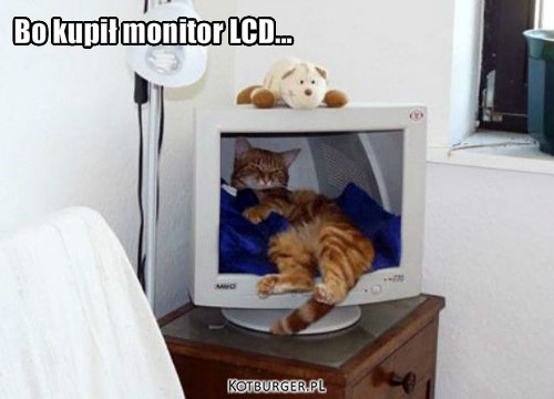 Bo kupił monitor LCD... – Bo kupił monitor LCD... 