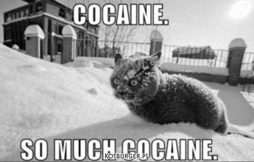 Cocaine. –  