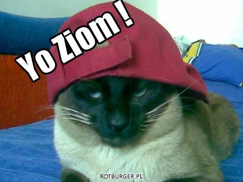 Yo Ziom ! – Yo Ziom ! 