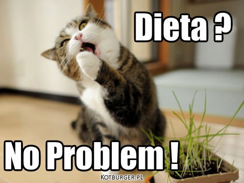 Dieta. – Dieta ? No Problem ! 