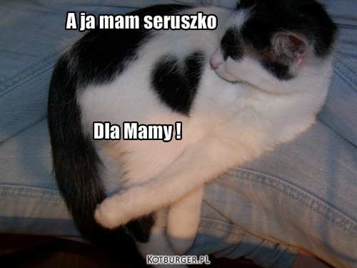 Kotek – A ja mam seruszko Dla Mamy ! 
