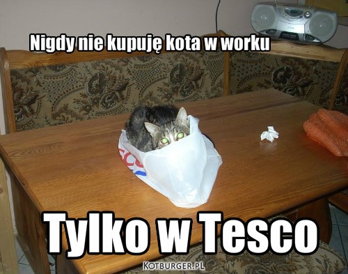 Zakupy – Nigdy nie kupuję kota w worku Tylko w Tesco 