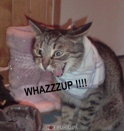 WHAZZZUP !!! –  