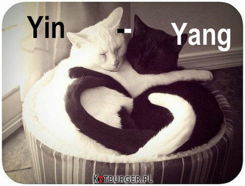 Yin-yang –  