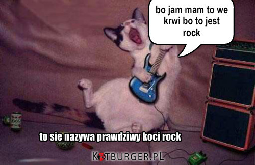 Koci rock –  