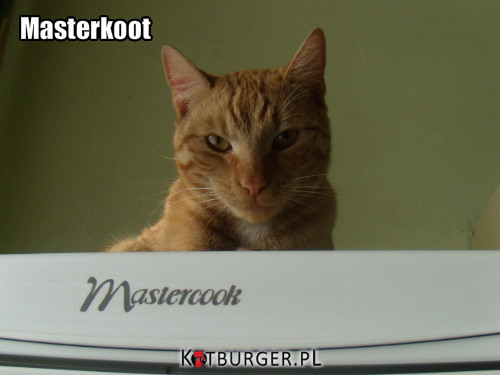Masterkot –  