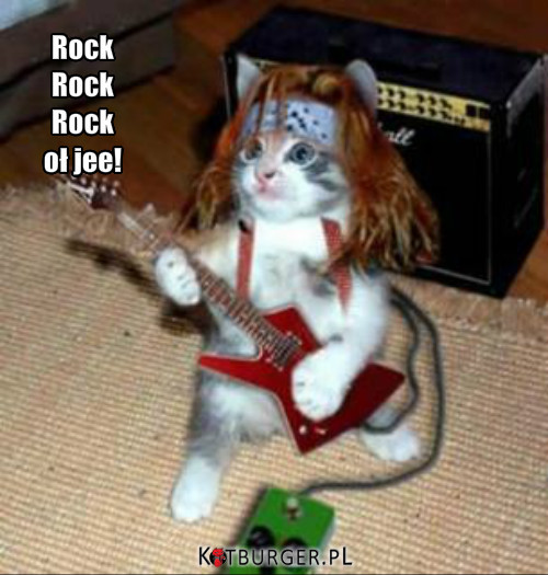 Rockowy kot –  