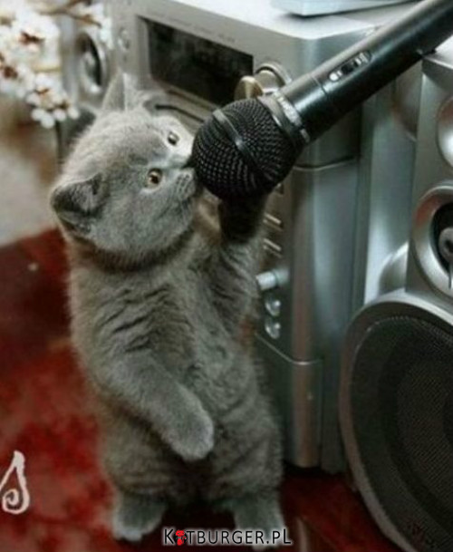 Próba mikrofonu... –  