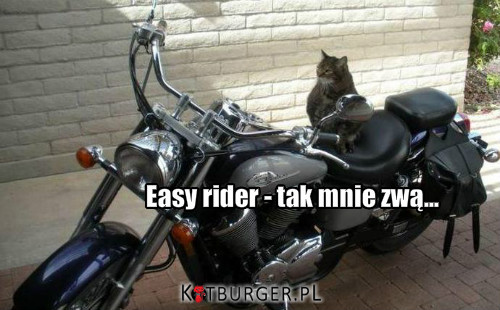 Easy Rider –  