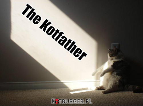 The Kotfather –  