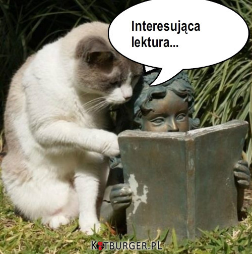 Czytający kot –  