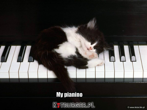 My pianino –  