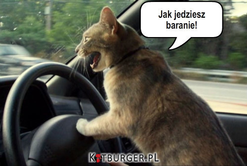 Kierowca:) –  