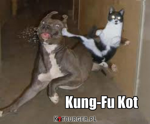 Kung-Fu –  