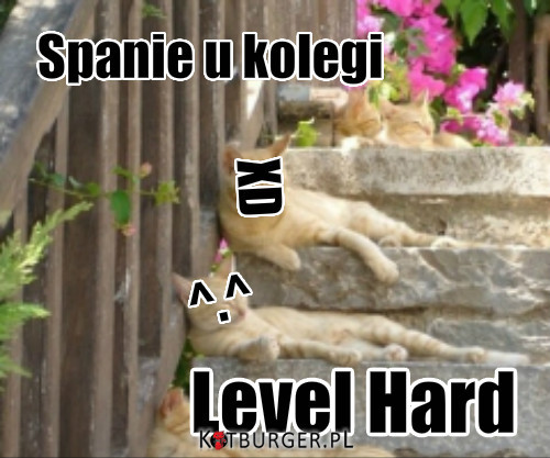 Z serii: Level hard –  