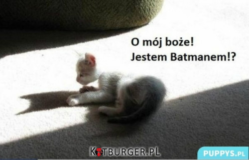 Omg jestem Batmanem! –  