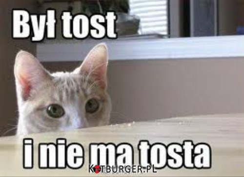 Był Tost, i nie ma Tosta. –  
