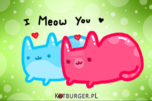 I meow You  –  