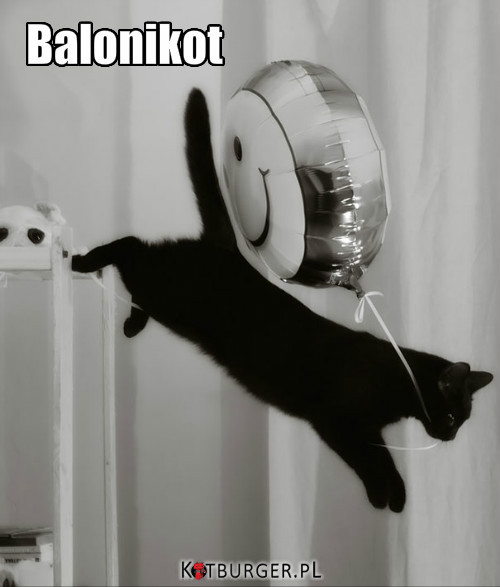 Balonikot –  