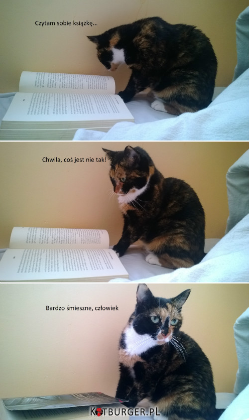 Charlie czyta –  